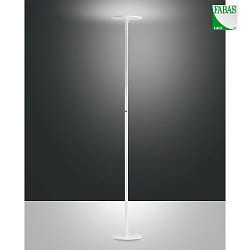 Lampada da terra REGINA IP20, satinato, bianco dimmerabile