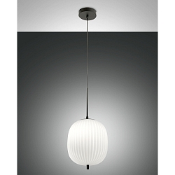 Luci a sospesione DOMIZIA compatibile con Smartluce E27 IP20, Opale, Nero