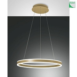 LED Pendelleuchte PALAU, 1x60W, 3000K, IP20, Gold edelmatt