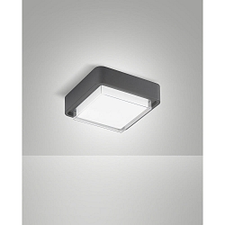 outdoor ceiling luminaire DIUK IP65, dark grey
