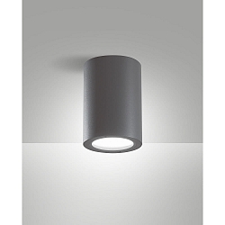 outdoor ceiling luminaire MANU E27 IP54, dark grey