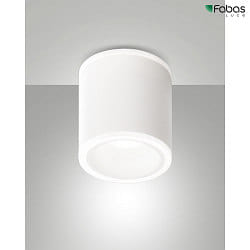 Apparecchio di superficie PACA rotondo IP20, satinato, bianco