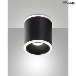 Apparecchio di superficie PACA rotondo IP20, satinato, nero