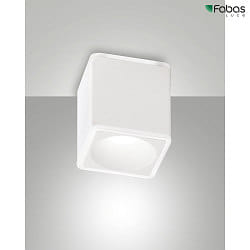Apparecchio di superficie COIBA angolare IP20, satinato, bianco