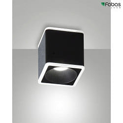 Apparecchio di superficie COIBA angolare IP20, satinato, nero