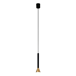 pendant luminaire DANKA LED IP20, gold, satined 