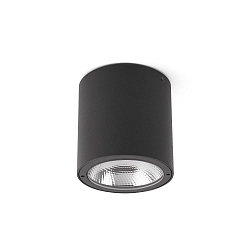 ceiling luminaire GOZ LED IP65, dark grey 