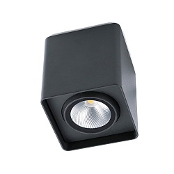 outdoor ceiling luminaire TAMI swivelling, rotatable LED IP54, dark grey 