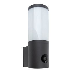 Outdoor LED Wandleuchte ORWELL mit Kamera 13W, IP54, dunkelgrau
