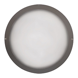 LED Auenwandleuchte 27cm, IP65, 12W, 3000K, 1500lm, rund, Abdeckung opal, anthrazit