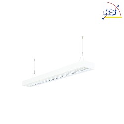 LED Pendel-Rasterleuchte direkt / indirekt, 116cm, IP20, UGR <19, DALI dimmbar, wei, 39W 3000K 5100lm