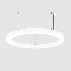 Luci a sospesione � 115.5CM controllabile da DALI, CCT Switch, diretto, UGR < 19, forma dell'anello IP40, bianco dimmerabile
