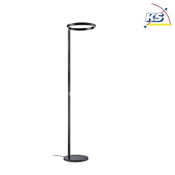 Standing LED Floodlight LANA Up/Down, black