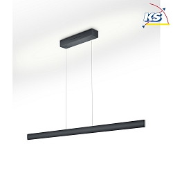 Pendant luminaire RUNA-132, black