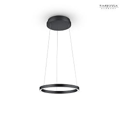 pendant luminaire LISA-40 up / down, tunable white, controllable with gestures IP20, black dimmable