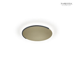 wall and ceiling luminaire ASTRA-60 IP20, metallic bronze dimmable