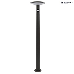 Solar LED Floor lamp KARINA