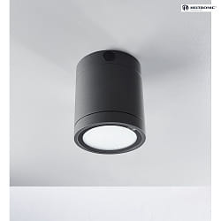 Outdoor LED Deckenleuchte NEGRO, IP65, COB, 10W 3000K 750lm 50°, anthrazit