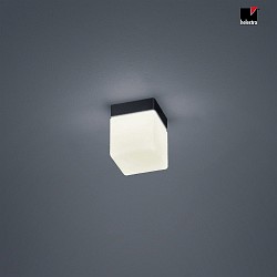 LED Bad-Deckenleuchte KETO, eckig, IP44, 6W 2900K 410lm, CRi >90, schaltbar, Stahl / Glas, mattschwarz