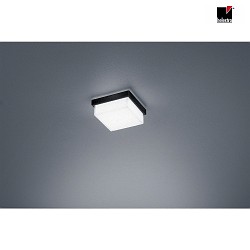 LED Bad-Deckenleuchte COSI 110, IP30, 7W 2900K 610lm, CRi >90, dimmbar, Glas satiniert + poliert, mattschwarz