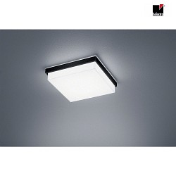 LED Bad-Deckenleuchte COSI 210, IP30, 12W 2900K 1020lm, CRi >90, dimmbar, Glas satiniert + poliert, mattschwarz