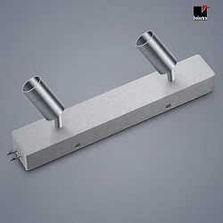 ceiling housing end feed with spot VIGO 2 flames, adjustable IP20, nickel matt, anodised dimmable