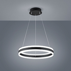 Luci a sospesione LIV 60 su / gi, forma dell'anello IP20, nero opaco dimmerabile