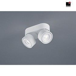 ceiling luminaire NAKA 30W 2 flames, adjustable IP20, white matt dimmable
