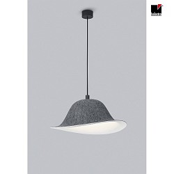 pendant luminaire ROG E27 IP20, anthracite, black matt