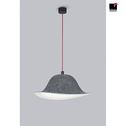 pendant luminaire ROG E27 IP20, anthracite, black matt