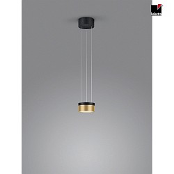 LED Pendelleuchte ODA, IP20,  13.5cm, 25W 2700K, CRi >90, dimmbar, schwarz matt / gold matt