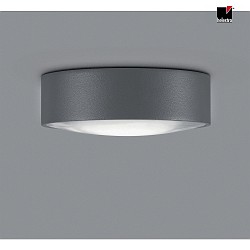 POSH Ceiling luminaire IP65 graphite