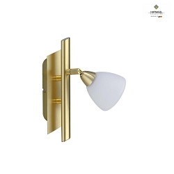 Lampada da parete e soffitto FILO 1-Lampadina, girevole G9 IP20, Bianco opaco, ottone satinato dimmerabile