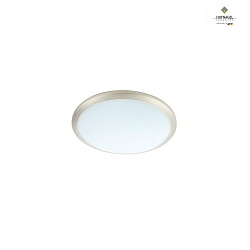 Wandleuchte / Deckenleuchte ORBIS,  25cm, E27, Glas wei satiniert, ML platin