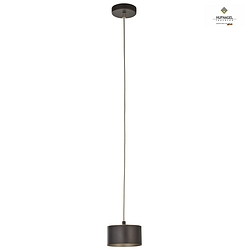 pendant luminaire TIZIAN GX53, platinum, titanium