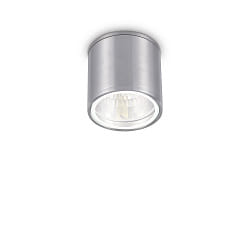 Outdoor luminaire GUN PL1 Ceiling luminaire, 1 flame, GU10, 28W, aluminum