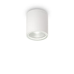 Outdoor luminaire GUN PL1 Ceiling luminaire, 1 flame, GU10, 28W, white