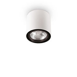 Downlight MOOD ROUND QPAR111,  15cm, incl. GU10 50W 2700K, pivotable, white / black on the inside