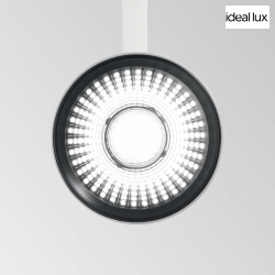 LED 3-phase Track spot FOX BIG, 25W 3000K 2500lm 35, white