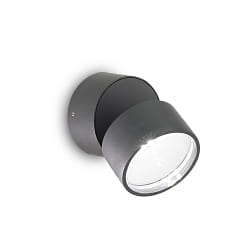 Applique da esterno OMEGA rotondo IP54, antracite