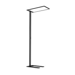 Lampadaire COMFORT PT LED LED IP20, noir  gradable