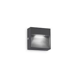 Applique da esterno DEDRA IP65, antracite 