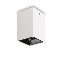 Plafoniera NITRO angolare IP20, nero, bianco 