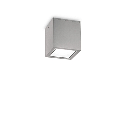 outdoor ceiling luminaire TECHO GU10 IP54, grey