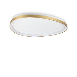 ceiling luminaire GEMINI 81 DALI controllable IP20, brushed brass dimmable