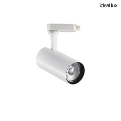 3-phase spot FOX 15W MEDIUM / DALI 940 DALI controllable, adjustable IP20, white matt dimmable