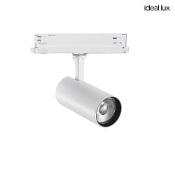 3-phase spot FOX 25W BIG / DALI 940 DALI controllable, adjustable IP20, white matt dimmable