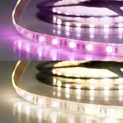 LED SIL RGB+WW Flex strip, 24V, 19W, IP20, 4in1 chip