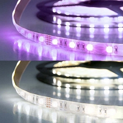 LED Flex strip SIL RGB + cool white, 24V, 19W, IP20, 4in1 chip