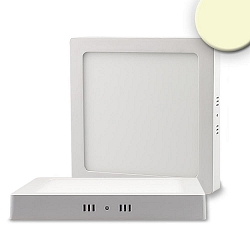 Plafoniera piazza IP20, bianco dimmerabile